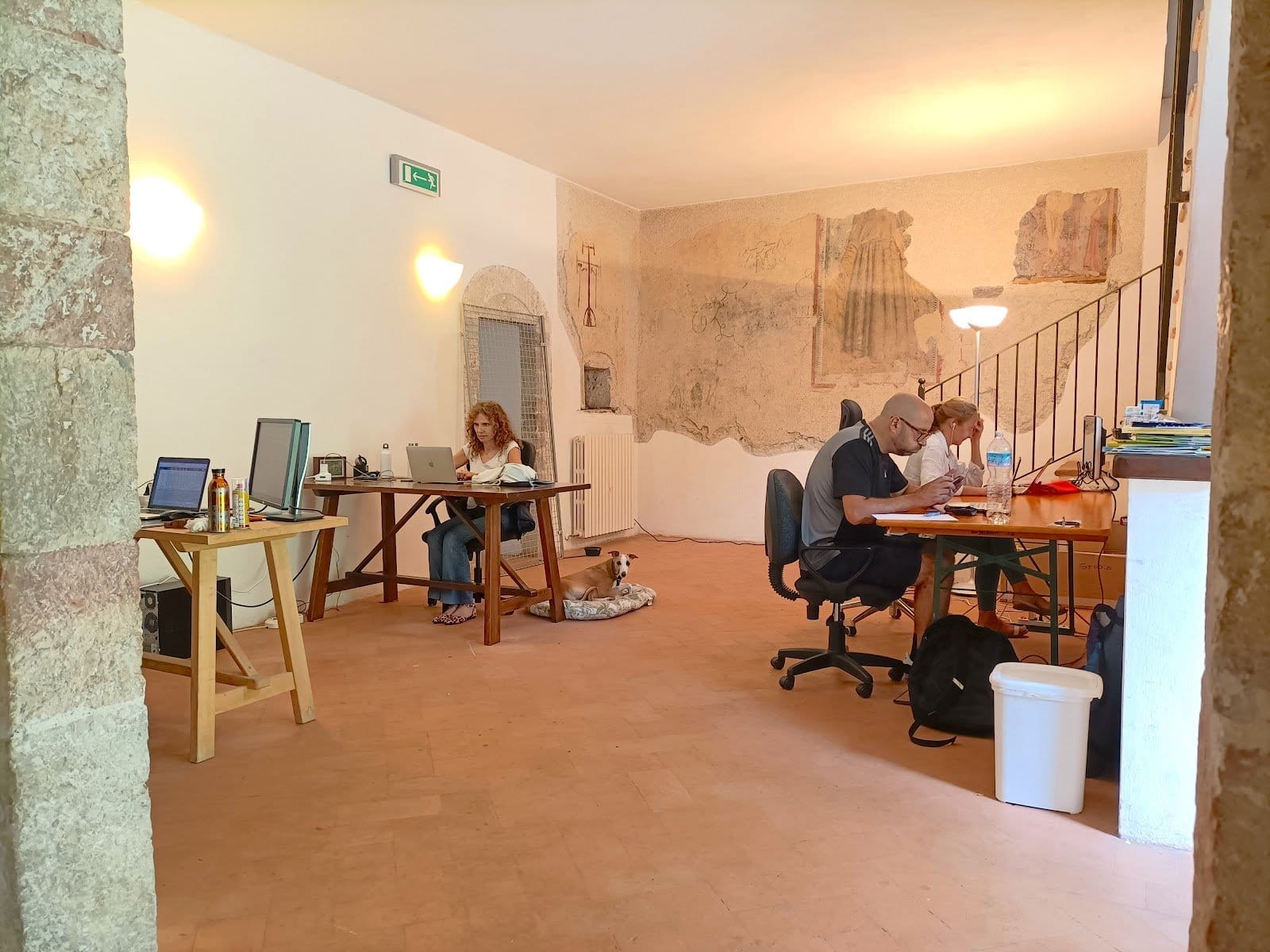 Room with multiple desks, computers, and people working alongside a dog lying on the floor