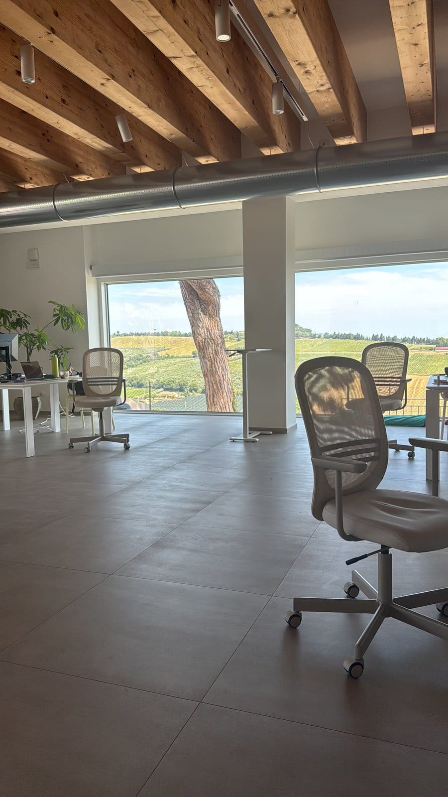 Spacious coworking area with multiple white desks and chairs arranged facing large window showing vineyard landscape.