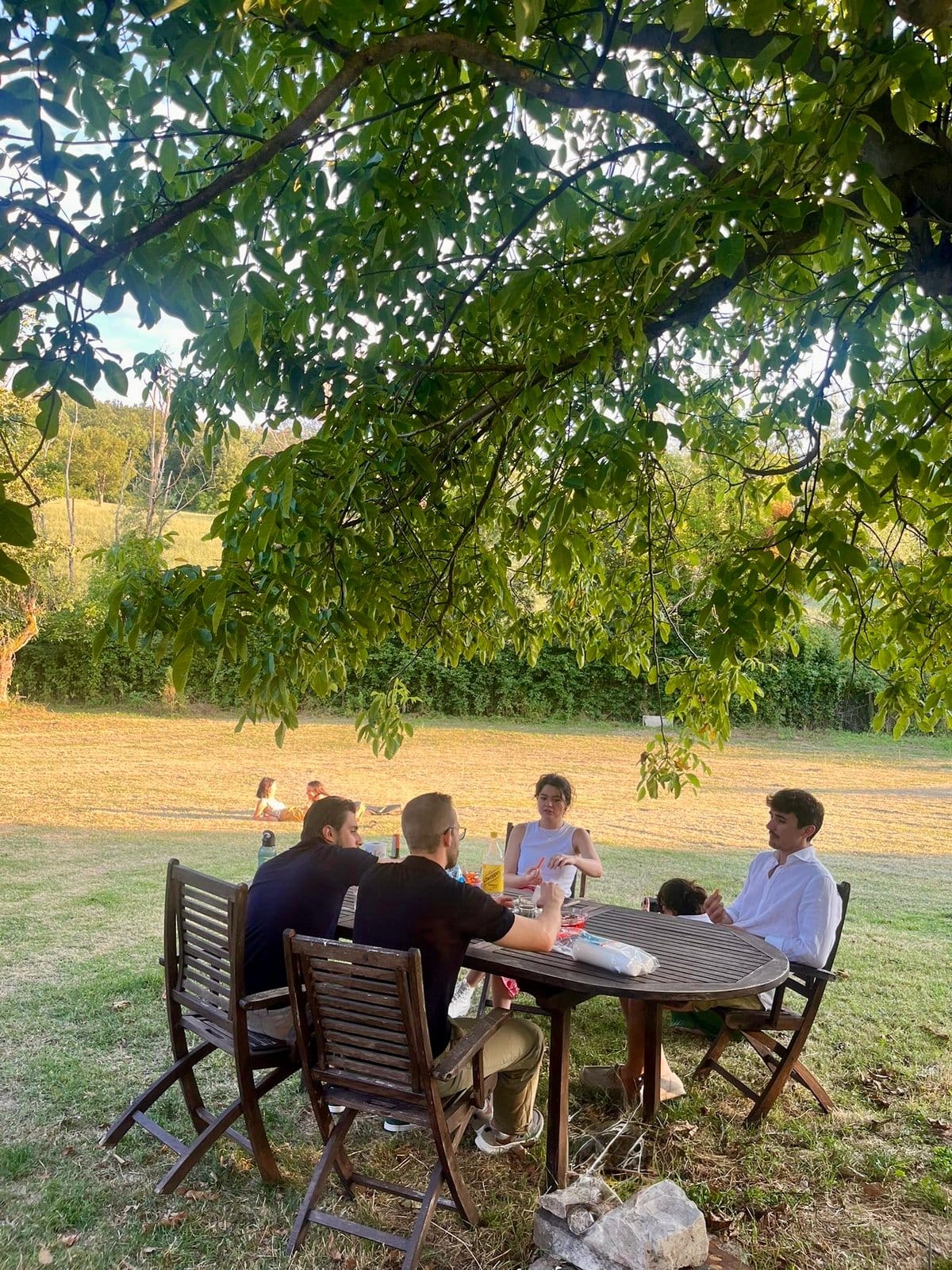 Outdoor garden area with well-kept lawn, large trees and shade, no people visible.