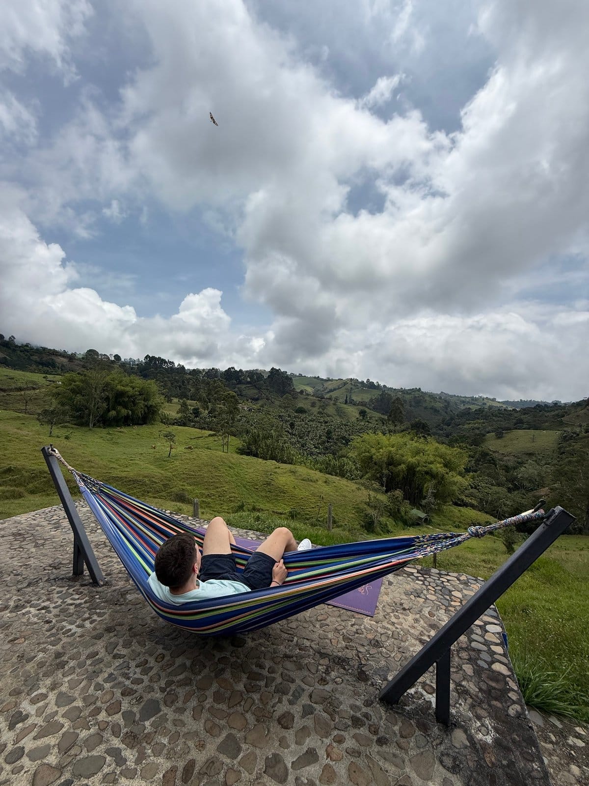 Guest relaxing in a striped hammock overlooking the valley at Riverside ecoliving
