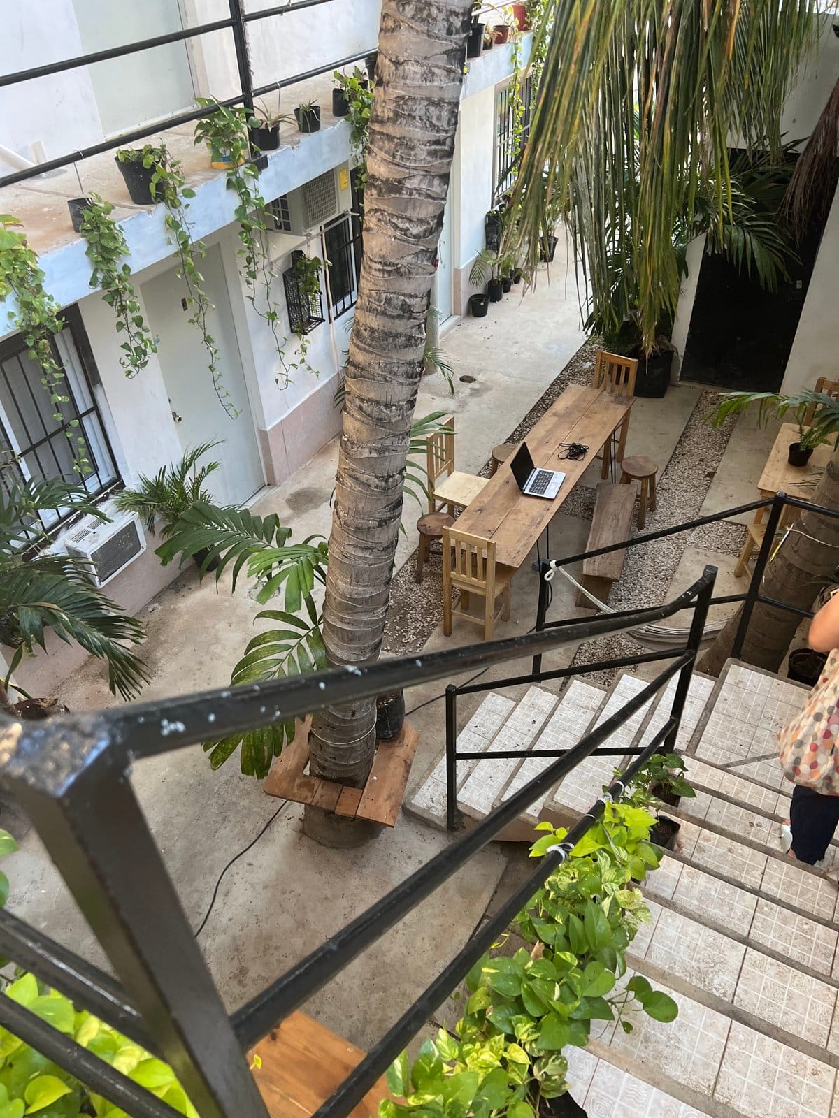 Aerial view of resident working on laptop at communal wooden table in tropical courtyard at Anana Coliving