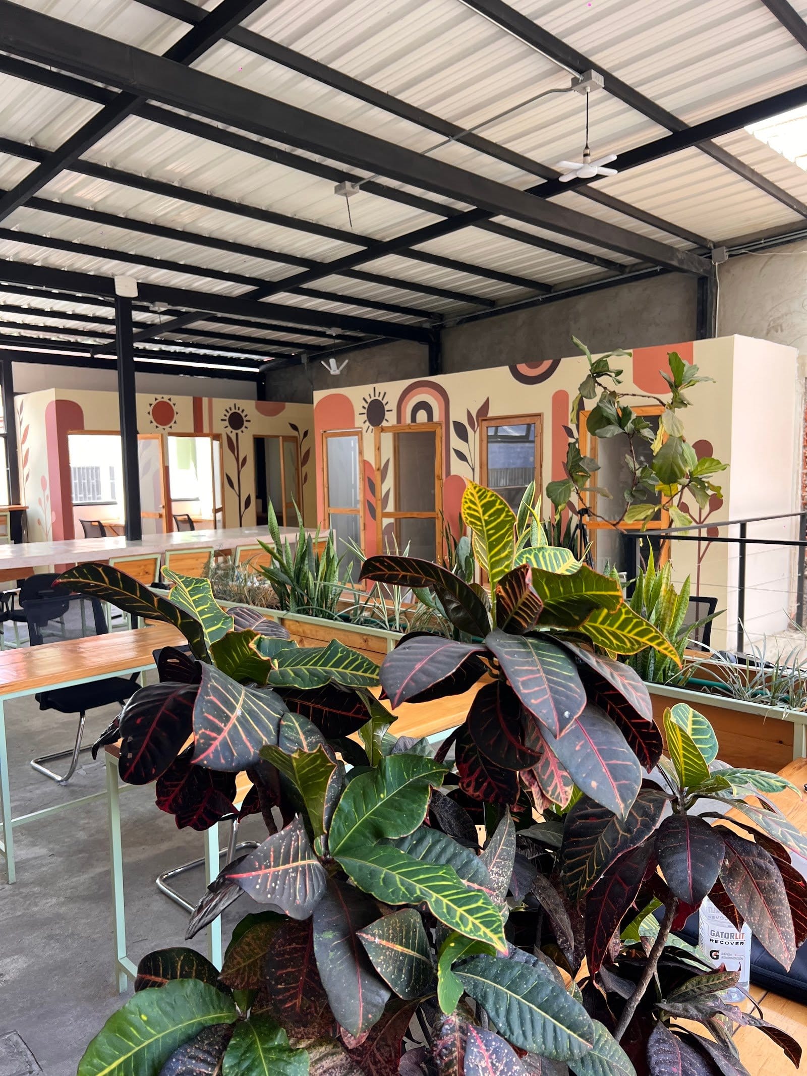 Bright communal lounge with a colorful hand-painted mural and plants at Co404 Medellin