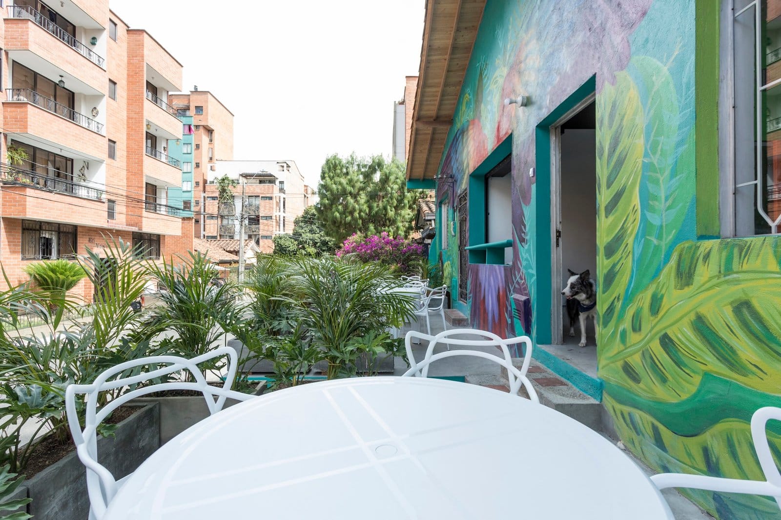 Outdoor terrace at Gastón Coliving with mural wall, seating area, plants, and resident dog