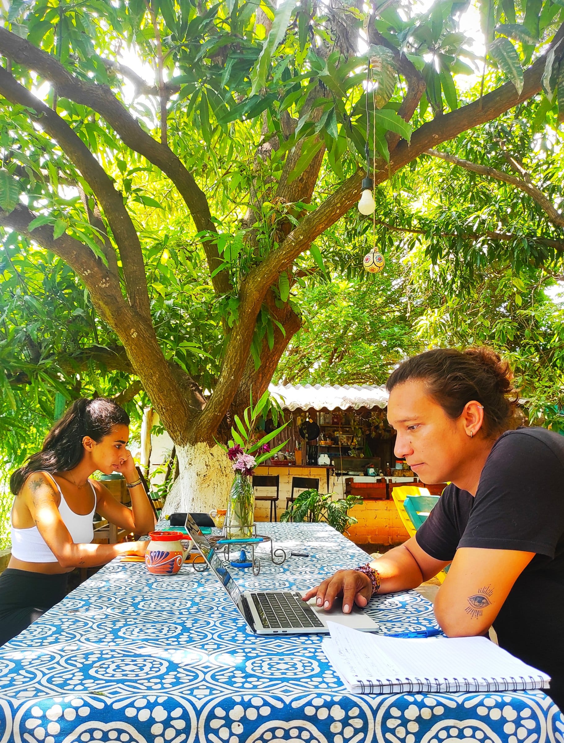 Two digital nomads working on laptops under the mango tree at El Mundito Coliving, Puerto Escondido
