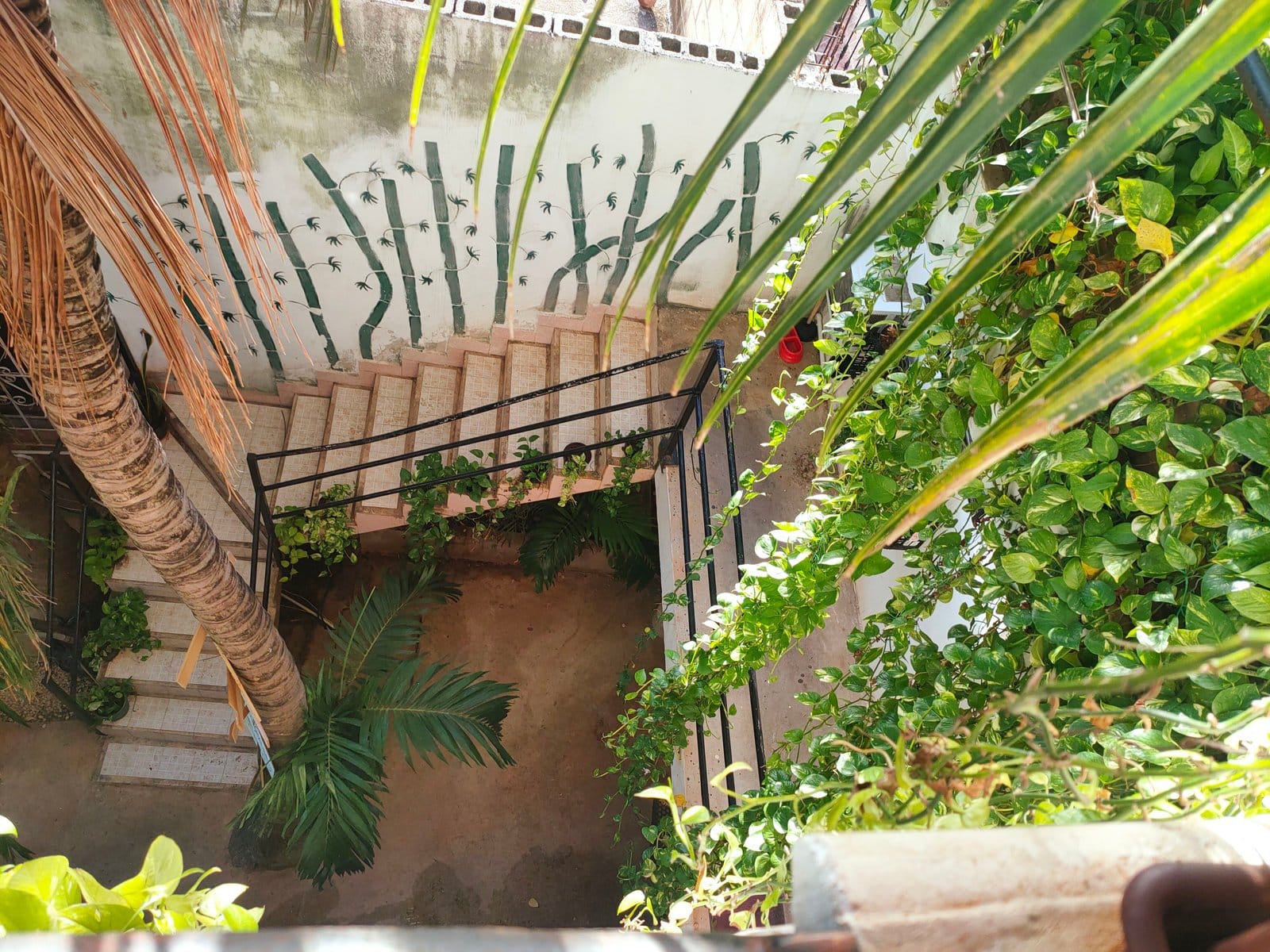 Looking down at the bamboo mural staircase surrounded by lush tropical plants at Anana Coliving