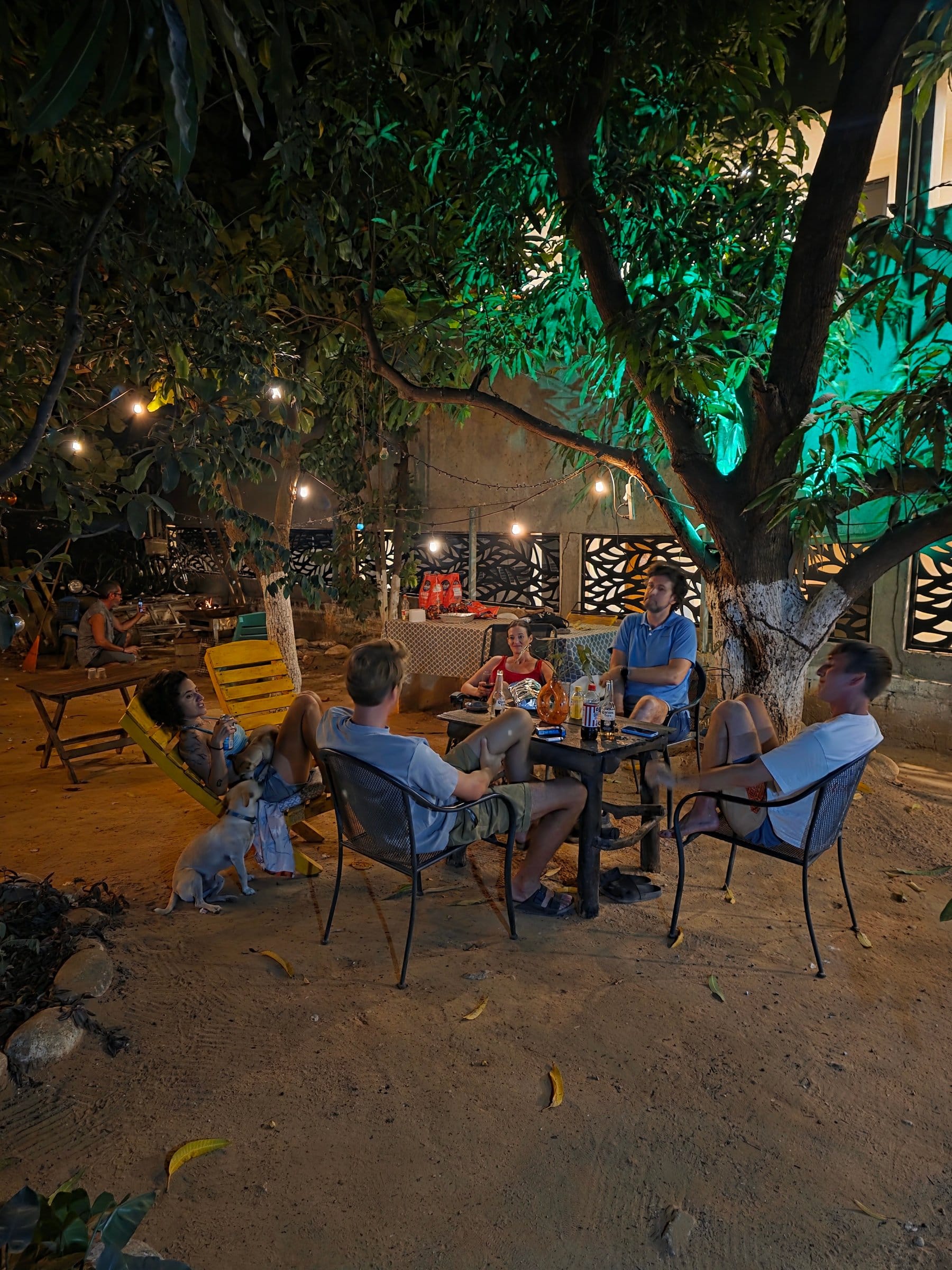 Residents and the house dog gathered around a table under the mango tree at El Mundito Coliving at night