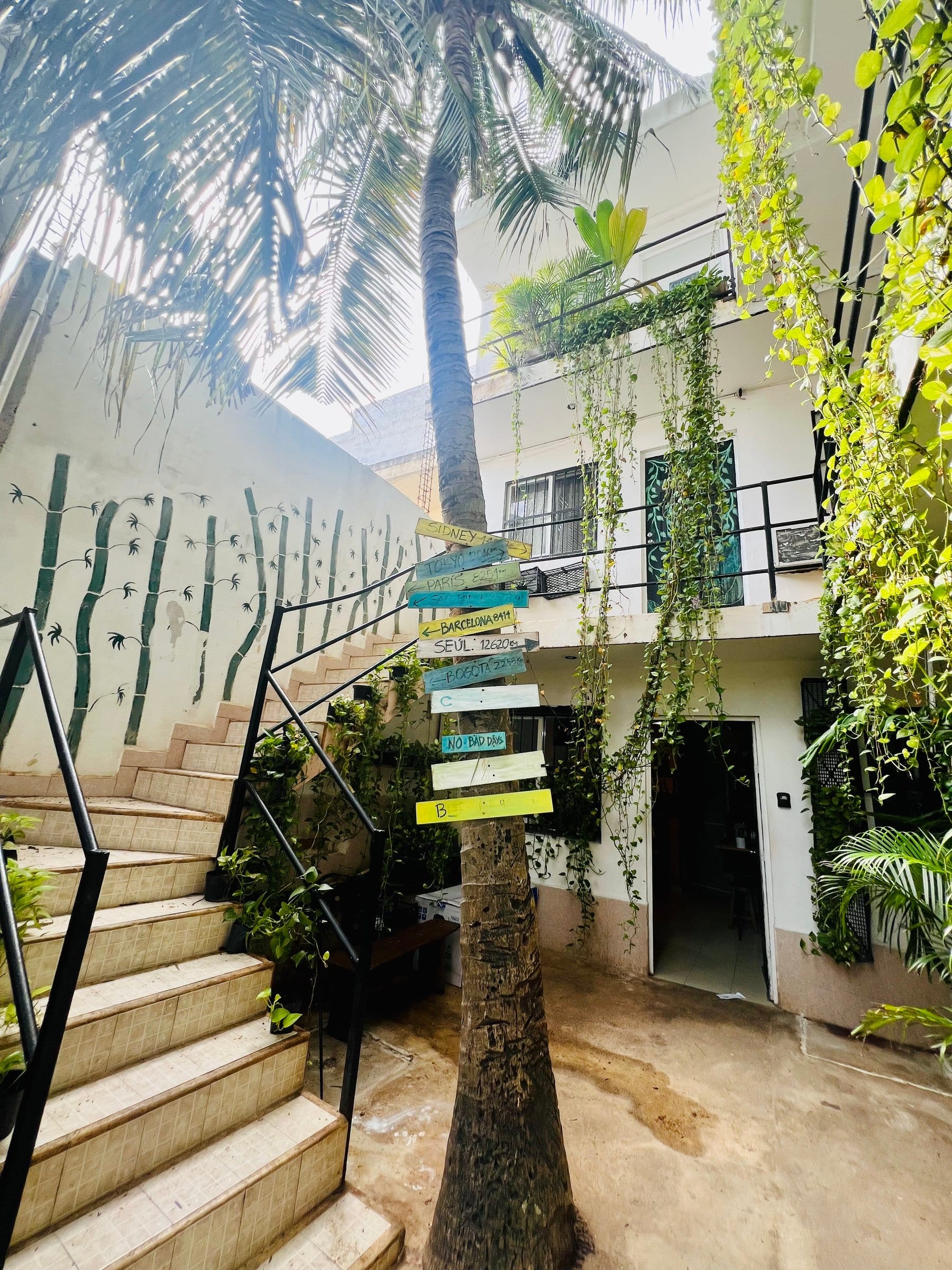Sun-drenched tropical courtyard with tall palm tree and wooden benches at Anana Coliving Playa del Carmen