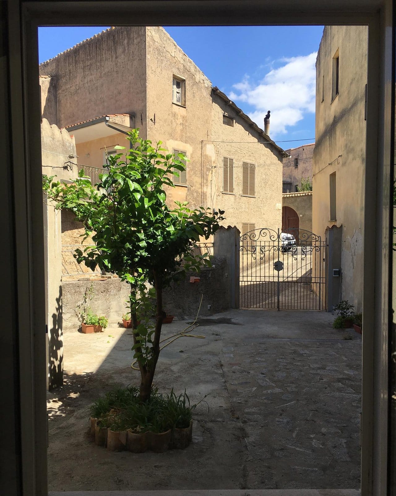 Sunny courtyard patio at Treballu with young tree in planter, potted plants, and view through gate to village street in Laconi, Sardinia