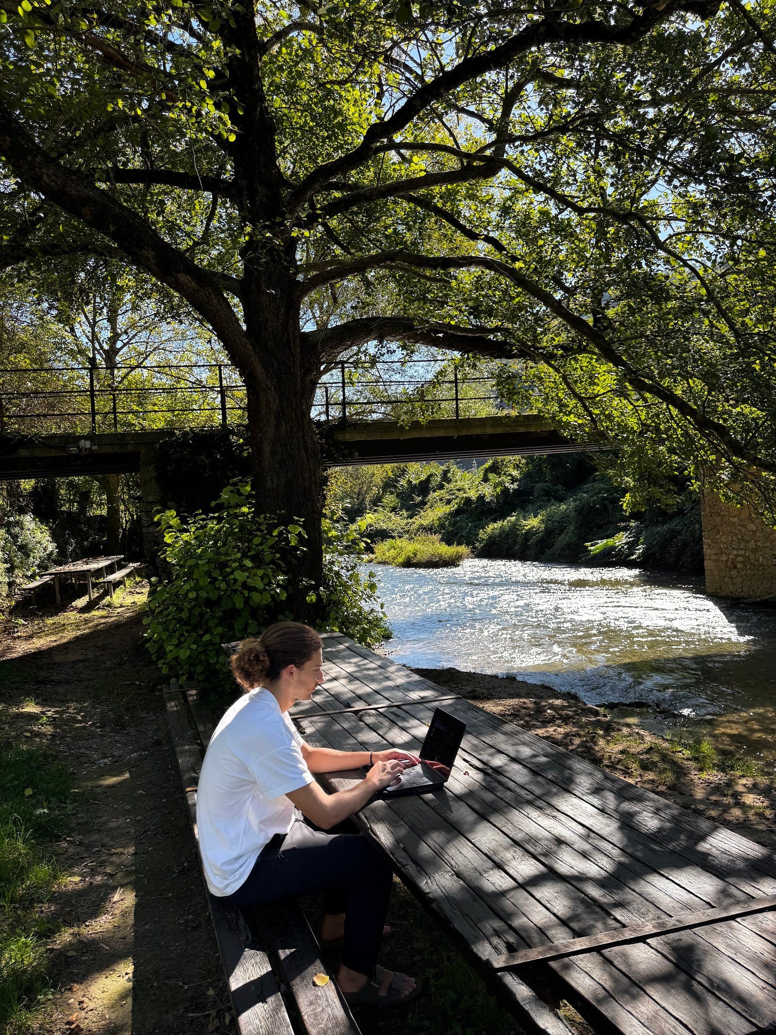 Person sitting outdoors at a picnic-style wooden bench near a river and trees, working on a laptop.