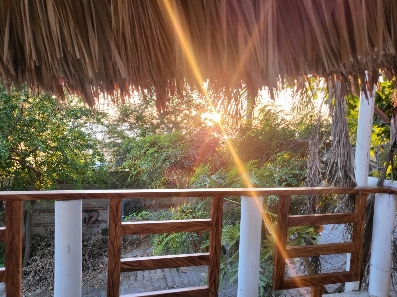 Golden hour sunset rays streaming through the palapa roof at Flow Coliving, Puerto Escondido