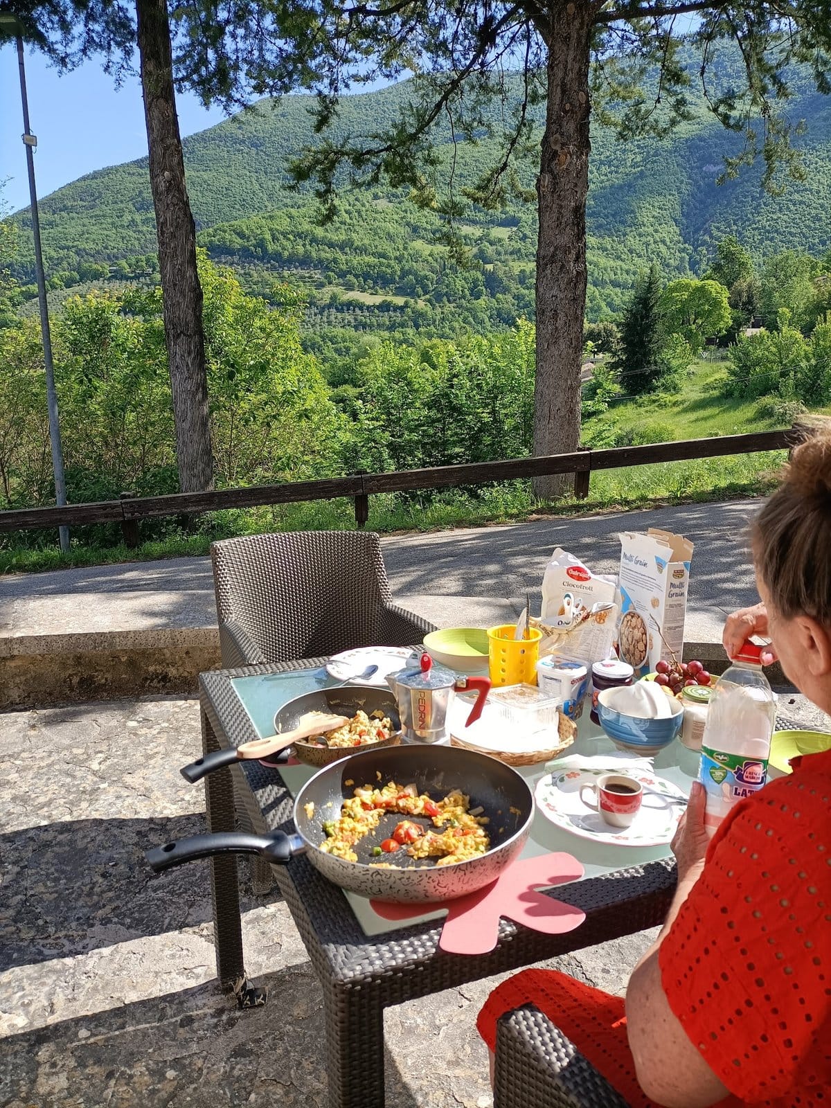 Outdoor patio table with food and drinks, surrounded by chairs, a person seated, and green mountain background.