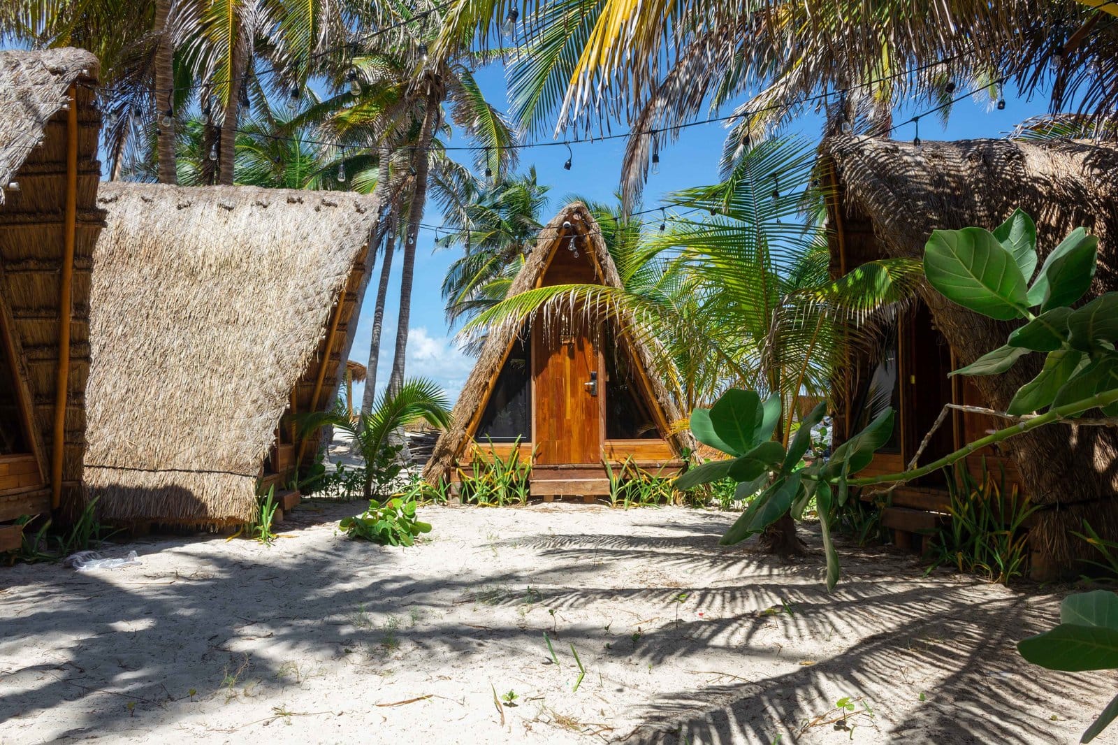 A-frame thatched bungalow entrance at Selina Isla Mujeres framed by tropical banana leaves and palm trees