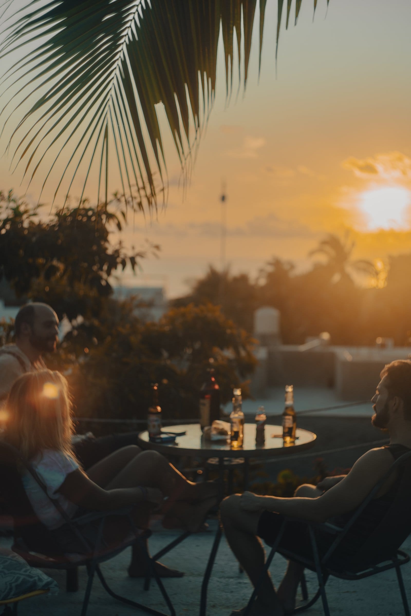 Residents relaxing on El Mundito's rooftop terrace at golden hour under palm fronds, Puerto Escondido