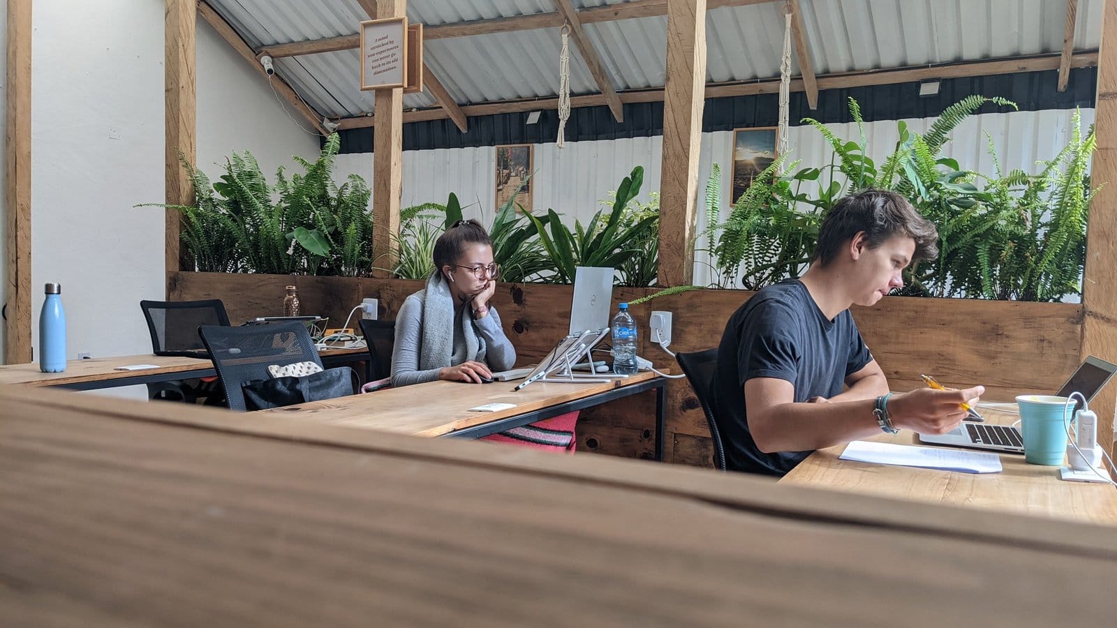 Two digital nomads working side by side at wooden desks in the Co404 greenhouse coworking space