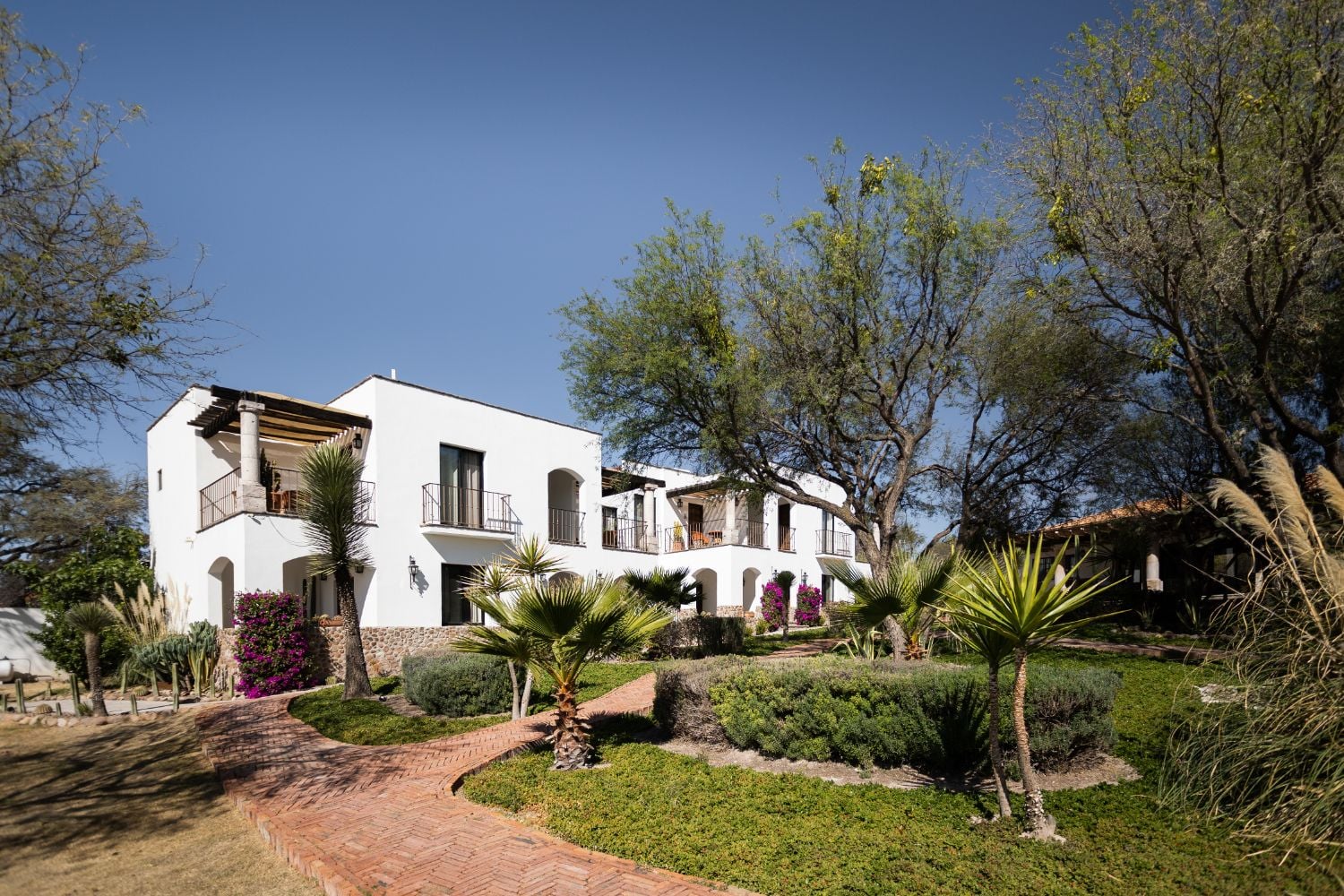 Exterior of Outsite San Miguel de Allende — white Spanish colonial hacienda surrounded by lush gardens, palm trees and bougainvillea, on a traditional estate south of the town centre