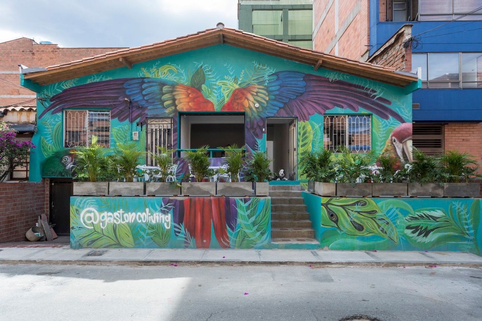 Colorful mural facade of Gastón Coliving in Medellín with tropical bird artwork and @gastoncoliving painted on the wall